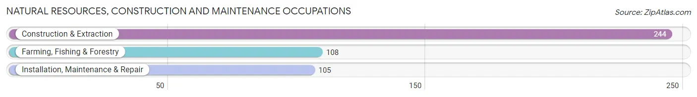 Natural Resources, Construction and Maintenance Occupations in Crosby County