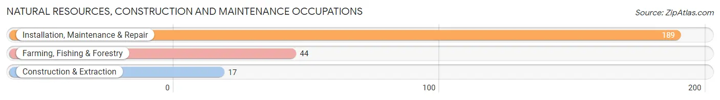 Natural Resources, Construction and Maintenance Occupations in Culberson County