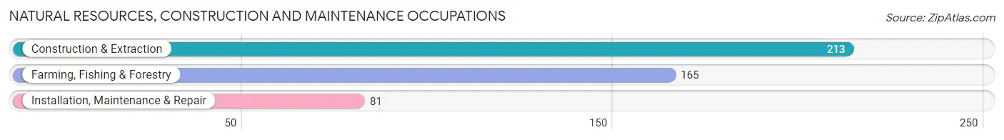 Natural Resources, Construction and Maintenance Occupations in Dallam County