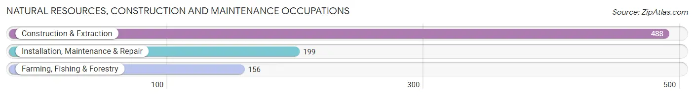 Natural Resources, Construction and Maintenance Occupations in Dawson County