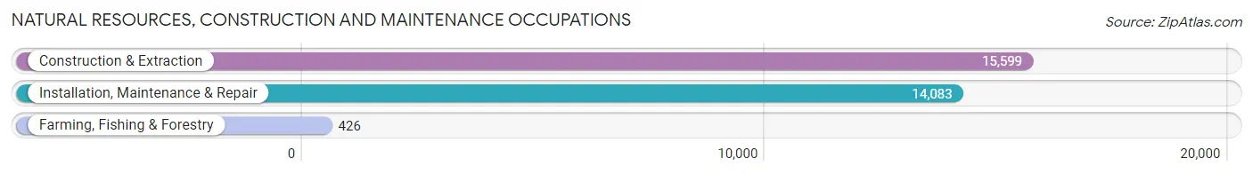 Natural Resources, Construction and Maintenance Occupations in Denton County