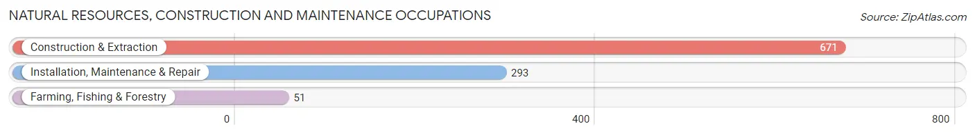 Natural Resources, Construction and Maintenance Occupations in DeWitt County