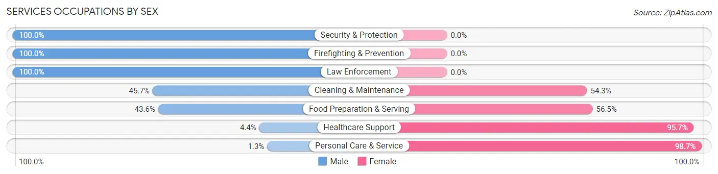 Services Occupations by Sex in DeWitt County