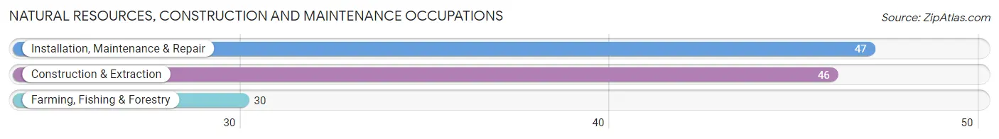 Natural Resources, Construction and Maintenance Occupations in Dickens County