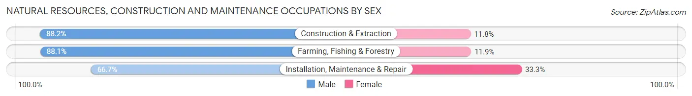 Natural Resources, Construction and Maintenance Occupations by Sex in Donley County