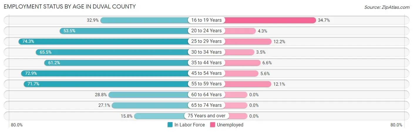 Employment Status by Age in Duval County