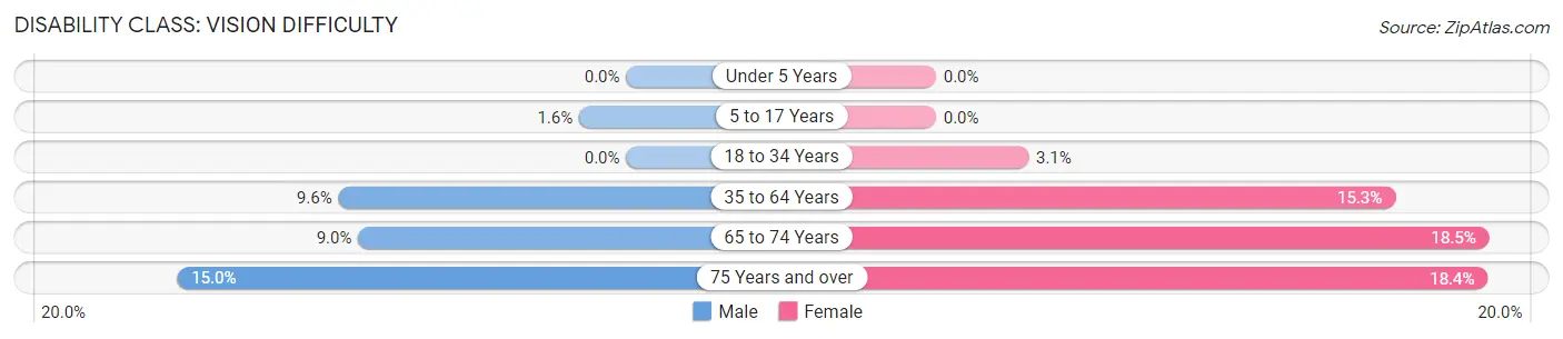 Disability in Duval County: <span>Vision Difficulty</span>