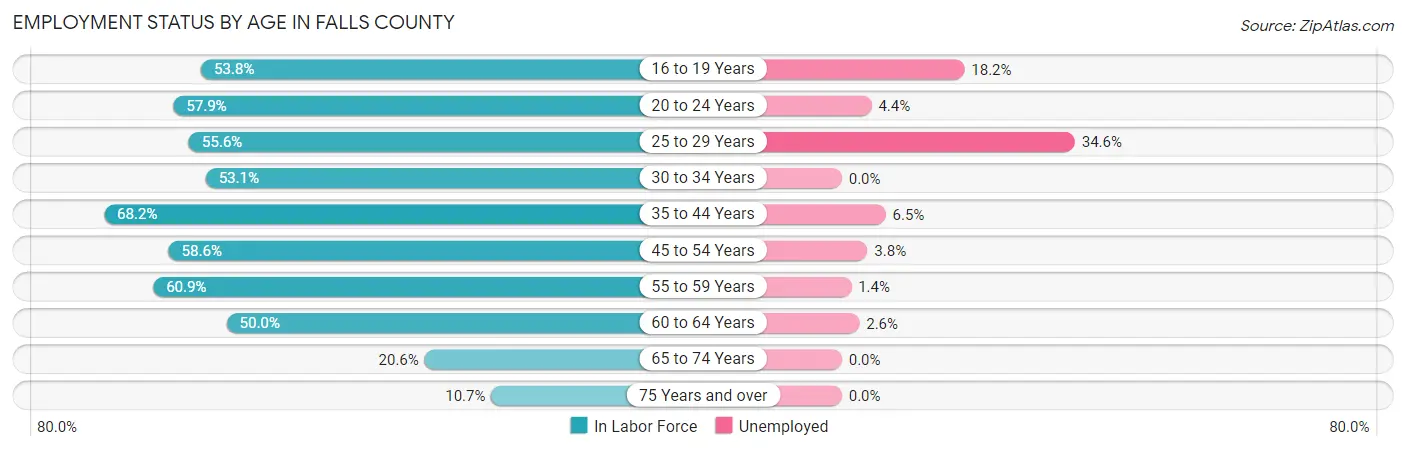 Employment Status by Age in Falls County