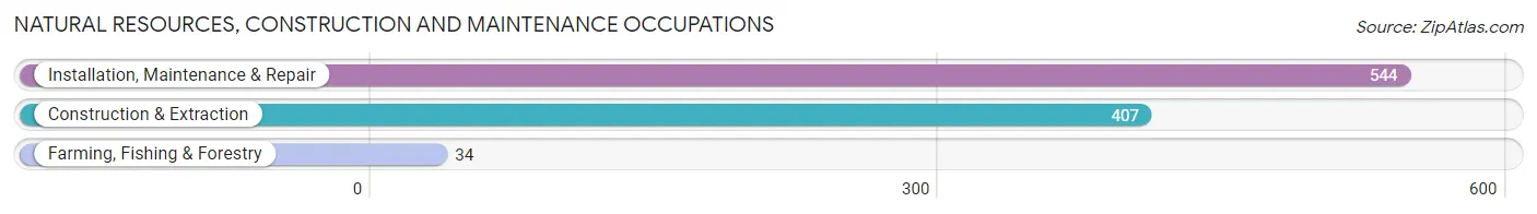 Natural Resources, Construction and Maintenance Occupations in Falls County