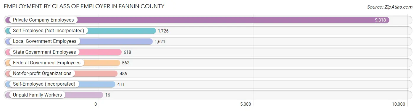 Employment by Class of Employer in Fannin County