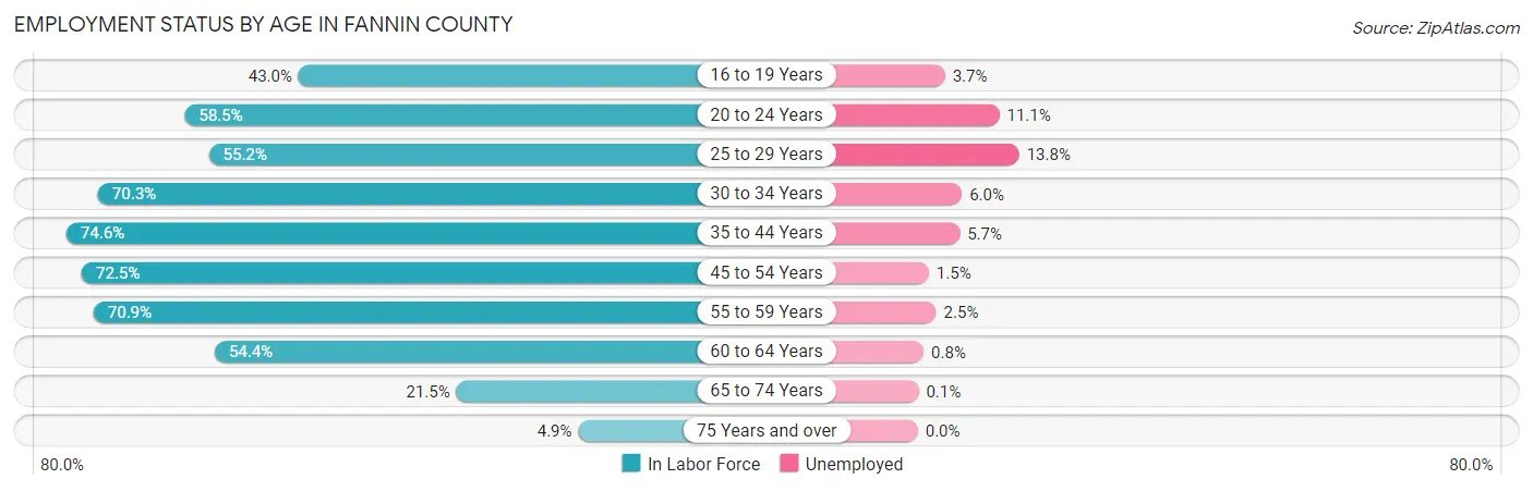 Employment Status by Age in Fannin County