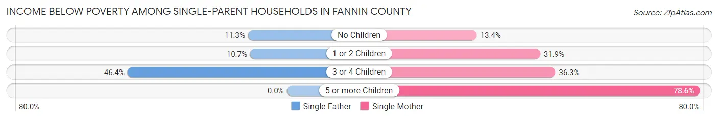 Income Below Poverty Among Single-Parent Households in Fannin County