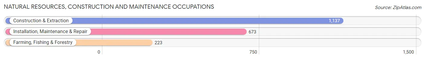 Natural Resources, Construction and Maintenance Occupations in Fannin County