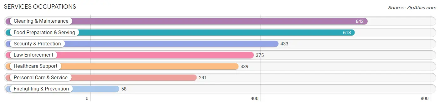 Services Occupations in Fannin County