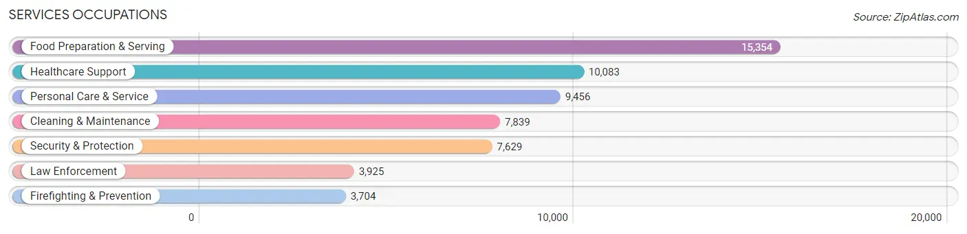 Services Occupations in Fort Bend County