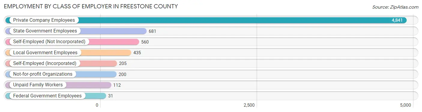 Employment by Class of Employer in Freestone County
