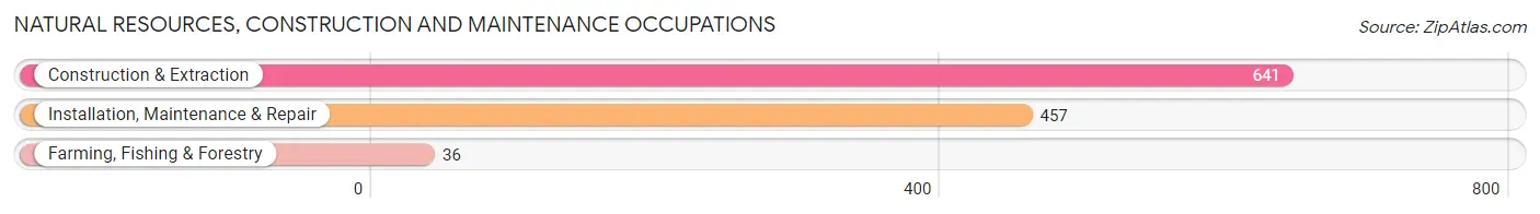 Natural Resources, Construction and Maintenance Occupations in Freestone County