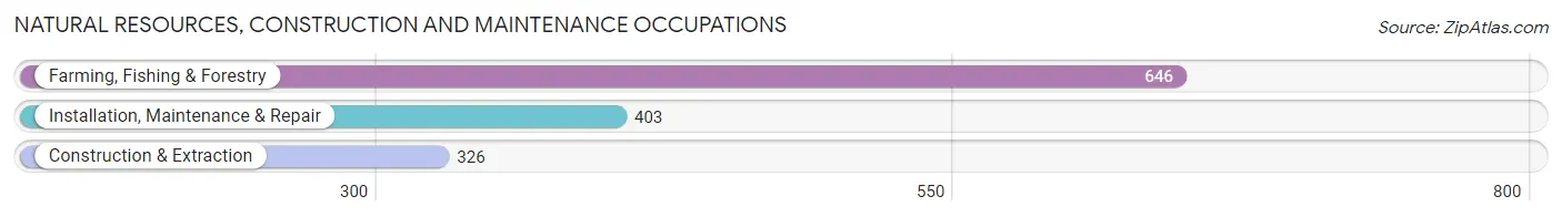Natural Resources, Construction and Maintenance Occupations in Frio County