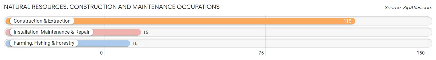 Natural Resources, Construction and Maintenance Occupations in Garza County