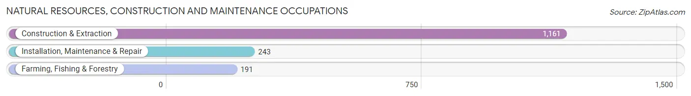 Natural Resources, Construction and Maintenance Occupations in Gillespie County