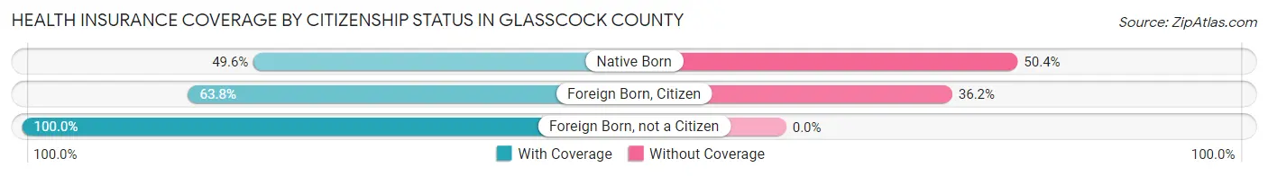 Health Insurance Coverage by Citizenship Status in Glasscock County