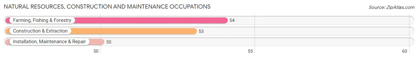 Natural Resources, Construction and Maintenance Occupations in Glasscock County