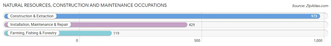 Natural Resources, Construction and Maintenance Occupations in Gray County