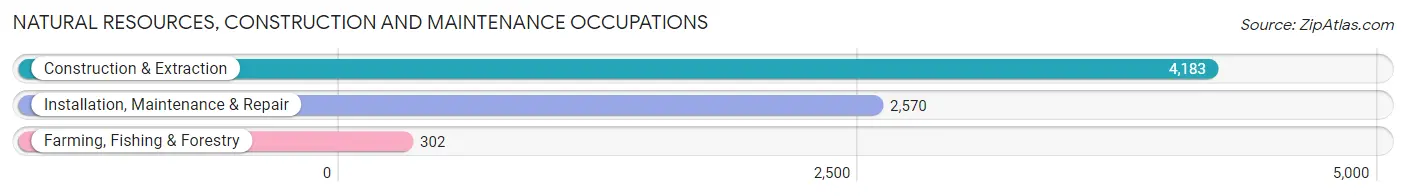 Natural Resources, Construction and Maintenance Occupations in Grayson County