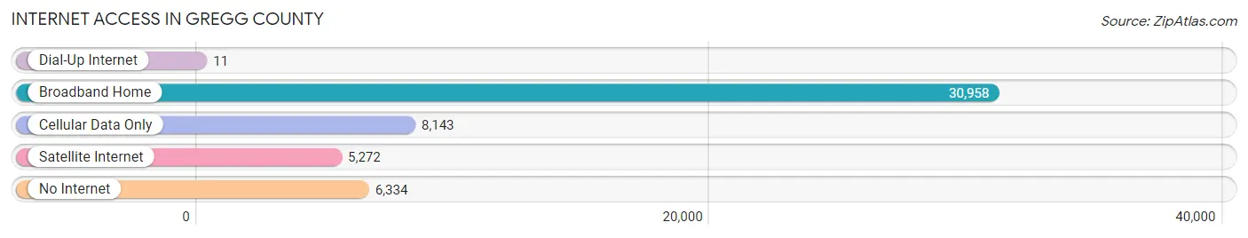 Internet Access in Gregg County