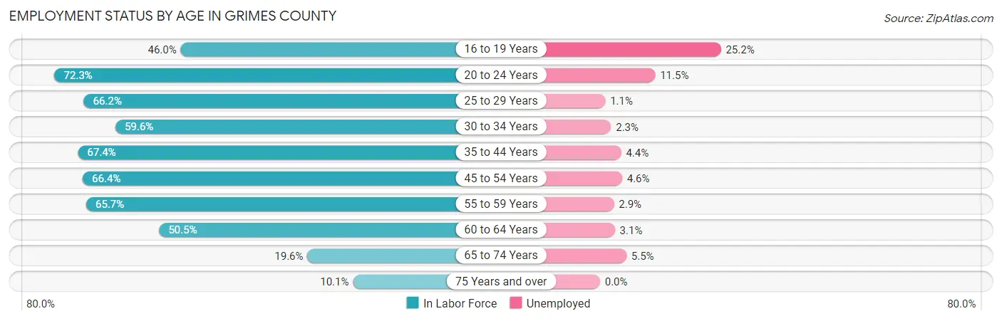 Employment Status by Age in Grimes County