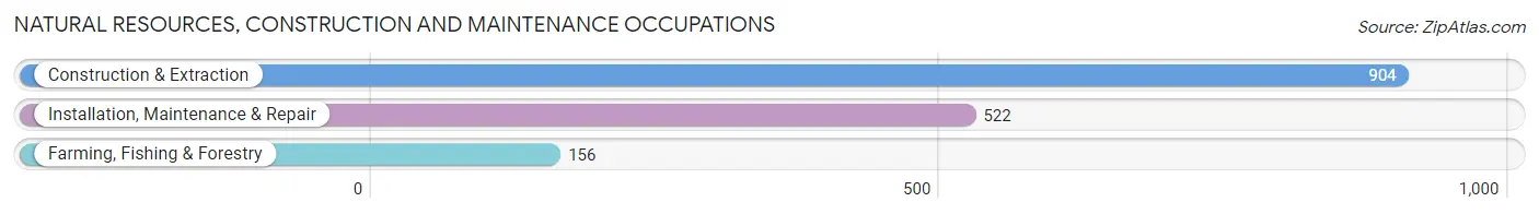 Natural Resources, Construction and Maintenance Occupations in Grimes County