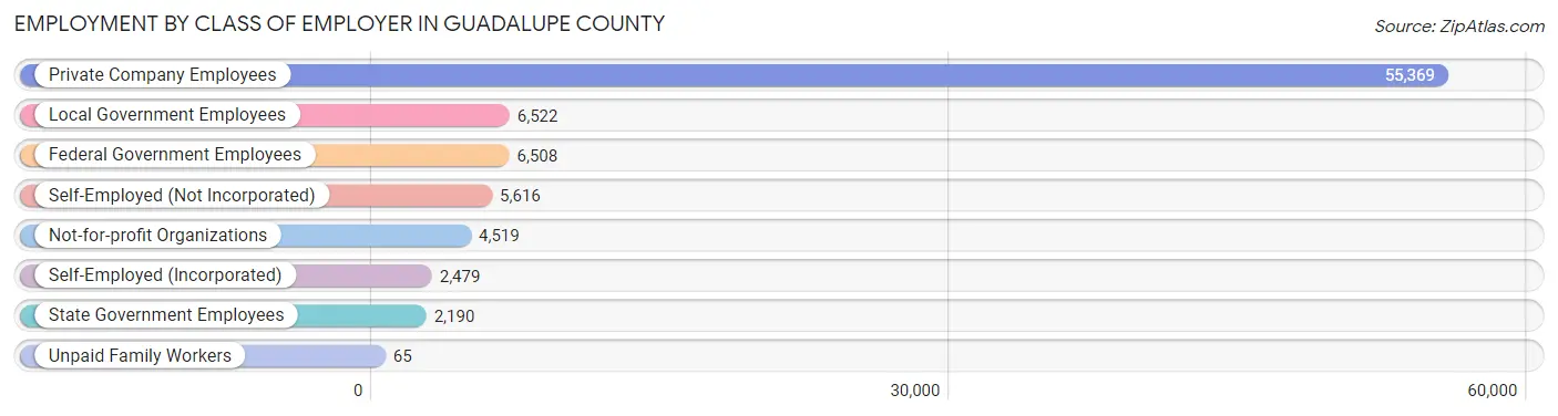 Employment by Class of Employer in Guadalupe County