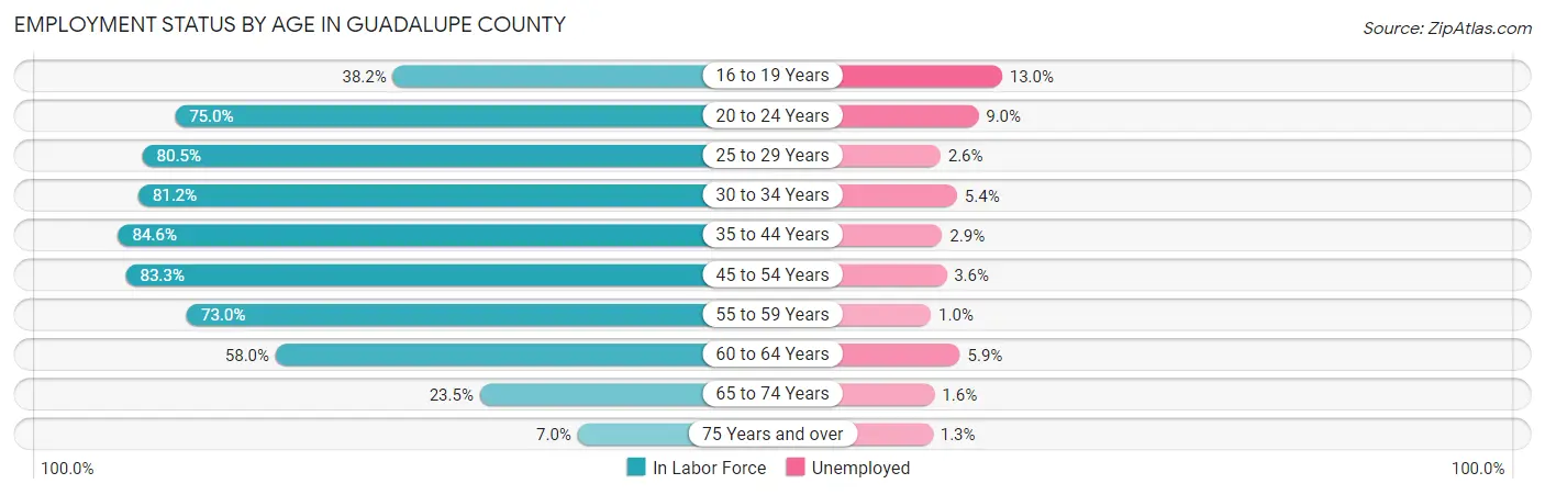 Employment Status by Age in Guadalupe County