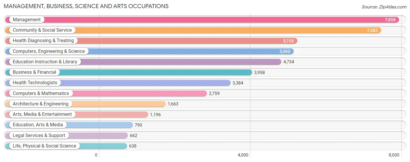 Management, Business, Science and Arts Occupations in Guadalupe County