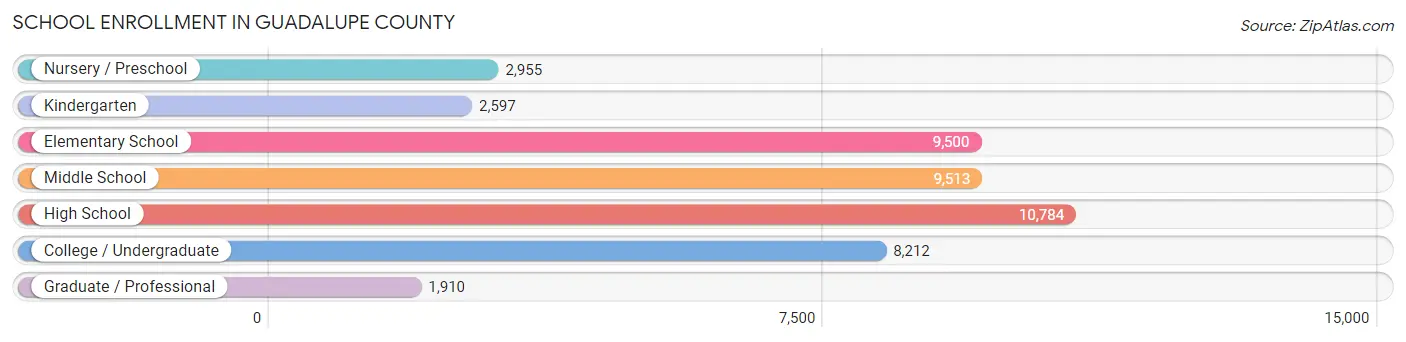 School Enrollment in Guadalupe County