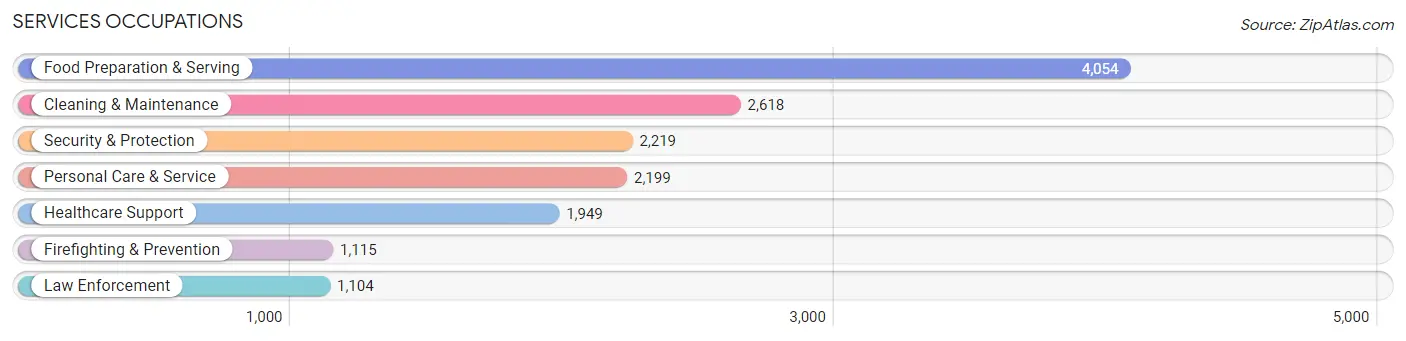 Services Occupations in Guadalupe County