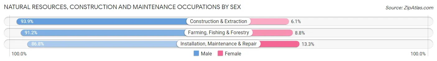 Natural Resources, Construction and Maintenance Occupations by Sex in Hansford County