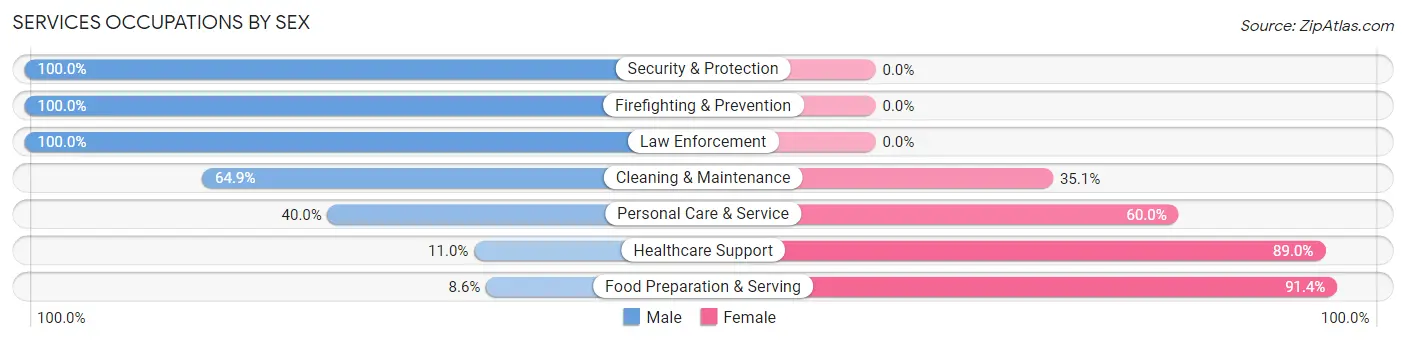 Services Occupations by Sex in Hansford County