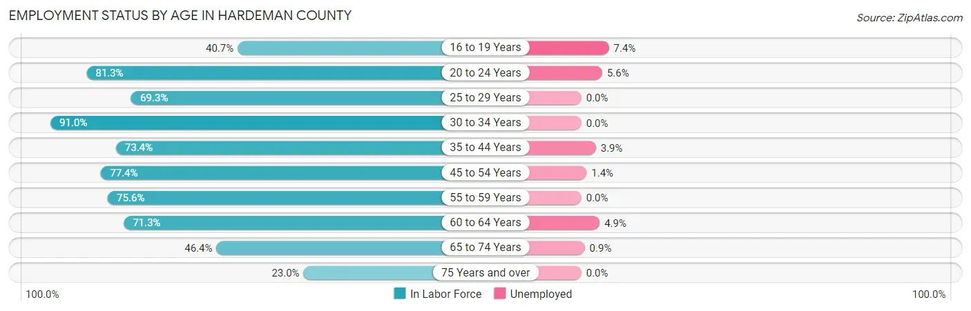 Employment Status by Age in Hardeman County