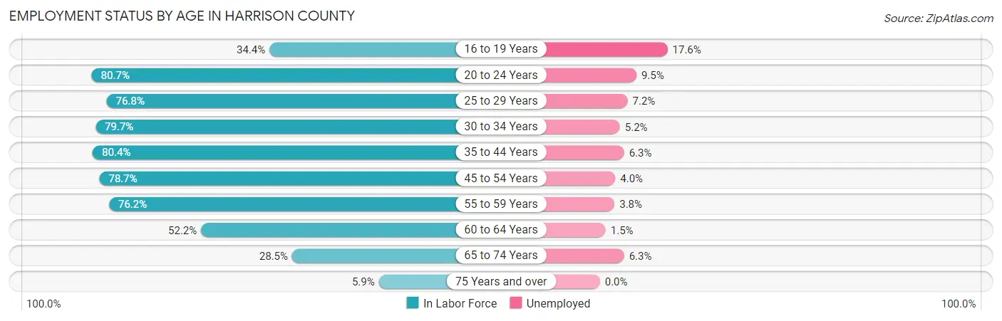 Employment Status by Age in Harrison County