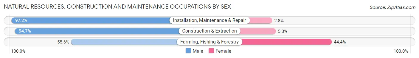 Natural Resources, Construction and Maintenance Occupations by Sex in Harrison County