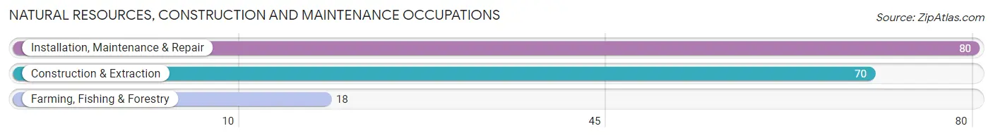 Natural Resources, Construction and Maintenance Occupations in Hartley County