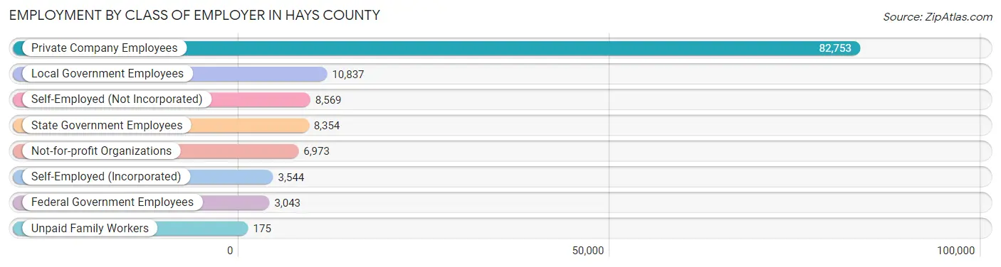 Employment by Class of Employer in Hays County