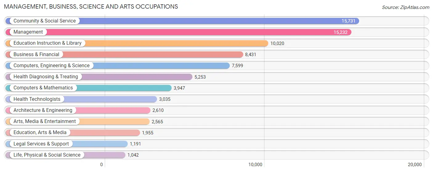 Management, Business, Science and Arts Occupations in Hays County