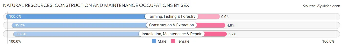 Natural Resources, Construction and Maintenance Occupations by Sex in Hays County