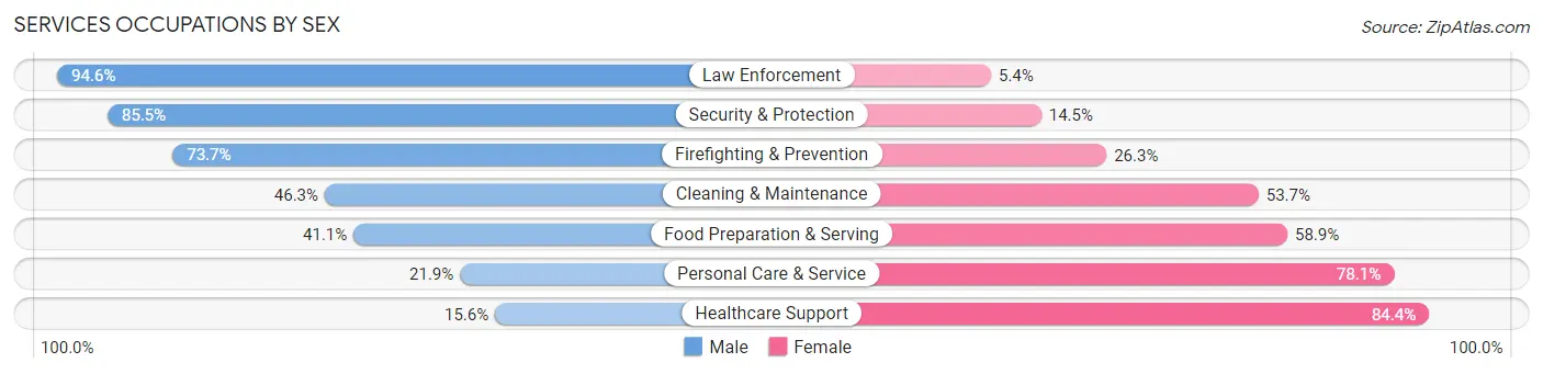 Services Occupations by Sex in Hays County