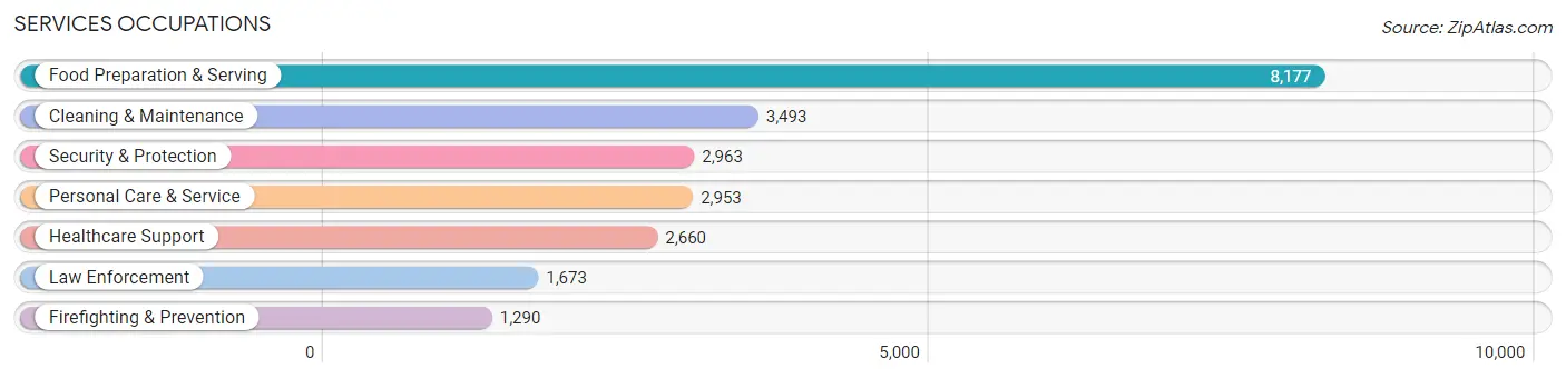 Services Occupations in Hays County