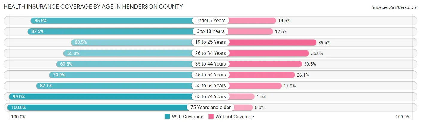 Health Insurance Coverage by Age in Henderson County