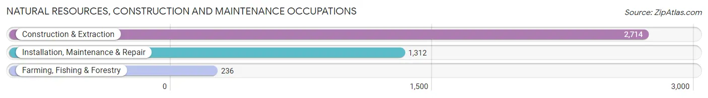 Natural Resources, Construction and Maintenance Occupations in Henderson County