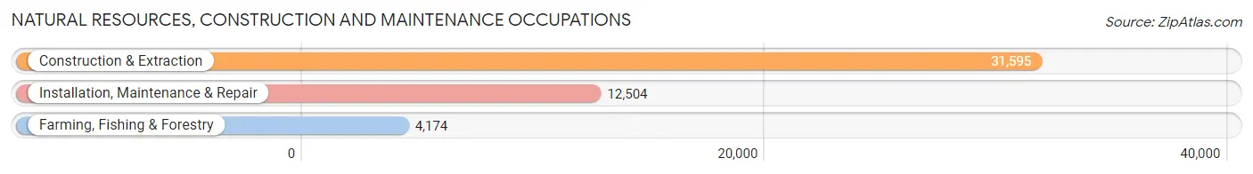 Natural Resources, Construction and Maintenance Occupations in Hidalgo County